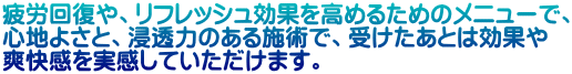 J񕜂AtbVʂ߂邽߂̃j[ŁA Sn悳ƁAZ͂̂{pŁA󂯂Ƃ͌ʂ uĂ܂B